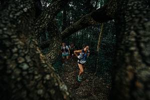 BIB: 
                            <button type="button" onclick="openModal(25687938)" class="btn btn-primary btn-sm float-right btn-popup" data-toggle="modal" data-target=".modal-high-quality">
                        <i class="fas fa-shopping-cart"></i> Add to Cart
                    </button>
                                            <button type="button" onclick="isThisMe(25687938, true)" class="btn btn-success btn-sm float-right btn-popup btn-isme hidden" data-toggle="tooltip" data-placement="bottom" title="นี่คือรูปของคุณใช่ไหม คลิกที่นี่เพื่อเอาเข้าอัลบั้ม">
                        <i class="fas fa-plus"></i> Add to album
                    </button>
                    <button type="button" onclick="isThisMe(25687938, false)" class="btn btn-warning btn-sm float-right btn-popup btn-isnotme hidden">
                        <i class="fas fa-ban"></i> Remove from album
                    </button>